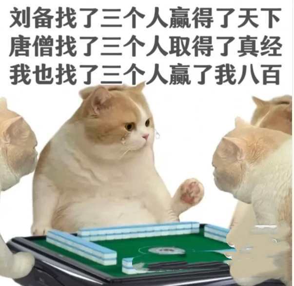 五月代理?自動秒返的主播照片