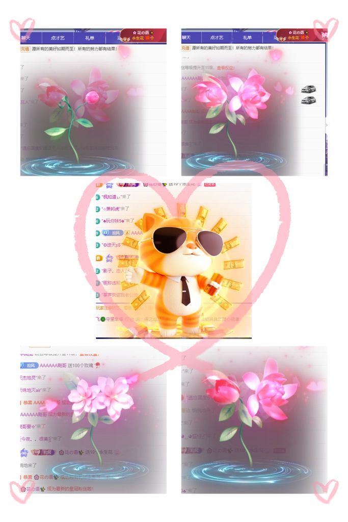 風(fēng)鈴在飛??守望幸福的主播照片