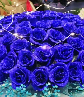 荣儿饿懵了的图片