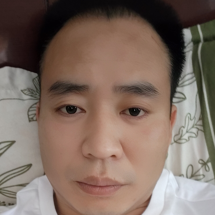 ❦苍狼🐺海报