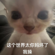 鱼鱼嘻嘻1