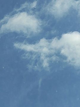 99。唱歌滴的图片