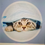 甘于平凡○