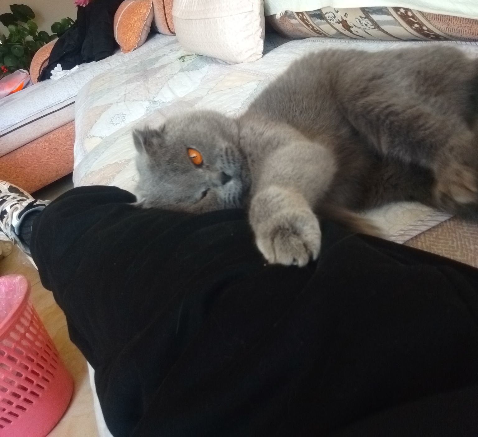 请端正服务态度主播图片