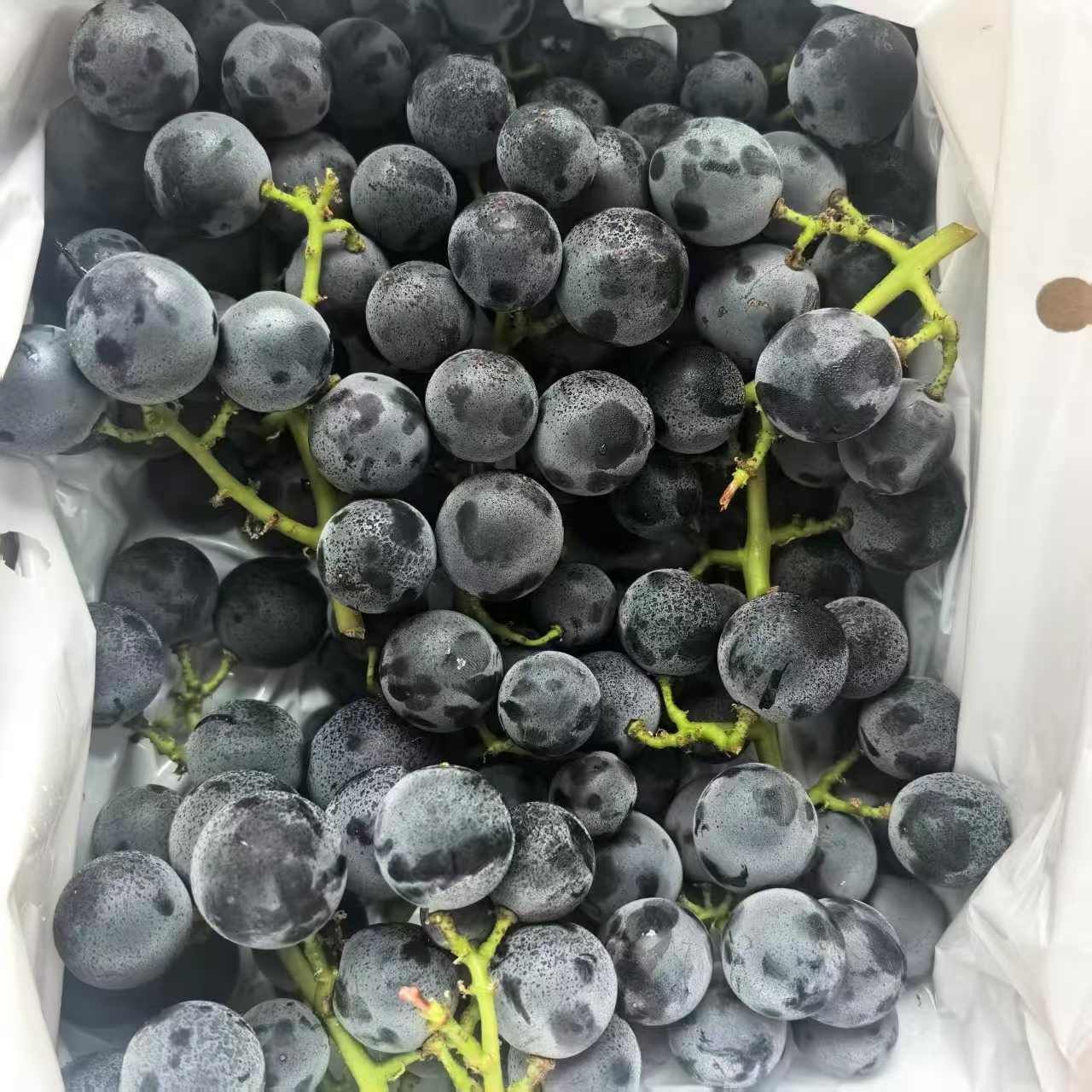 小苹果🍎🍎男神主播图片