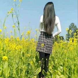 无忧🪭小白的图片