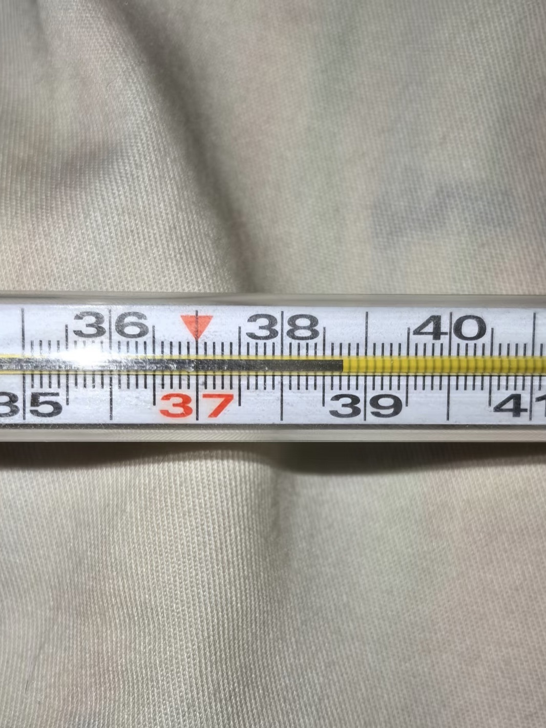 沈念安主播图片