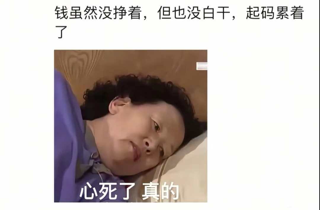 五月代理❀自动秒返主播图片