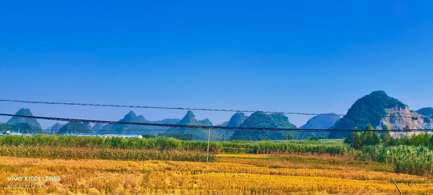妞妞骑行南宁的主播照片