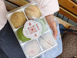 桃子🍑游园中的图片