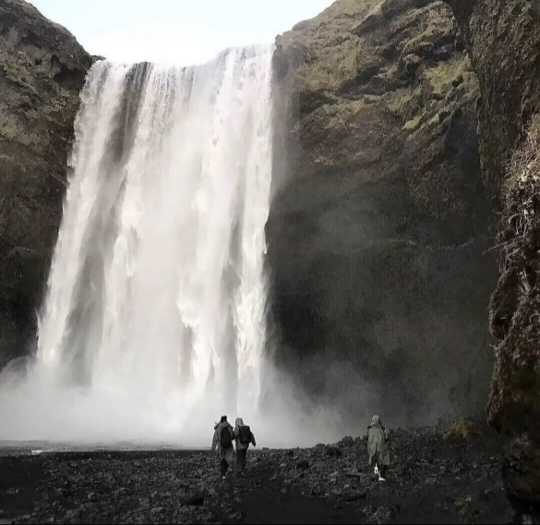 新人-诺诺大王^-^海报