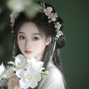 只看昕昕小姐姐