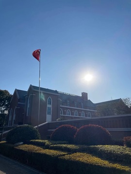 北家玉米🌽的图片