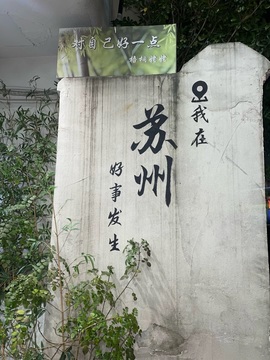 北家玉米🌽的图片