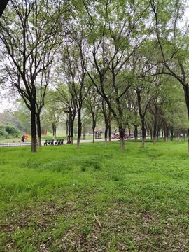 桃子🍑游园中的图片