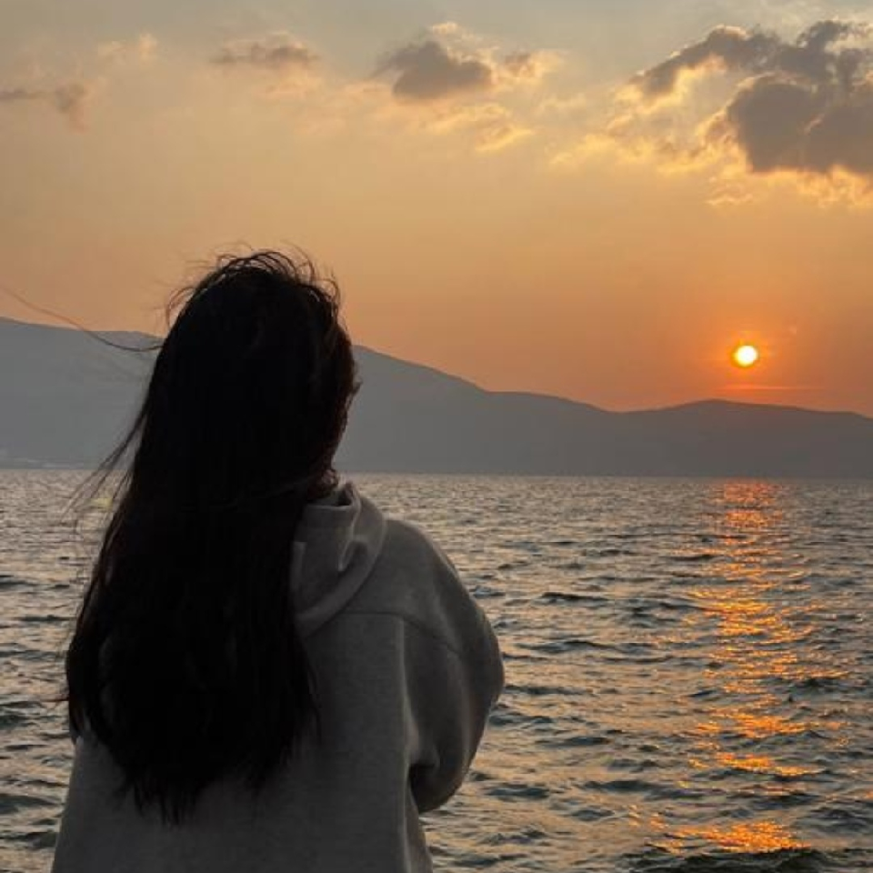 四十四棵死涩柿子树海报