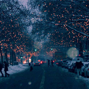 2麦天天鼻💩的头像