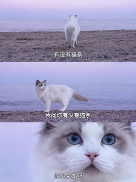 新人姜一一的图片