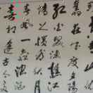 希望13519040的头像