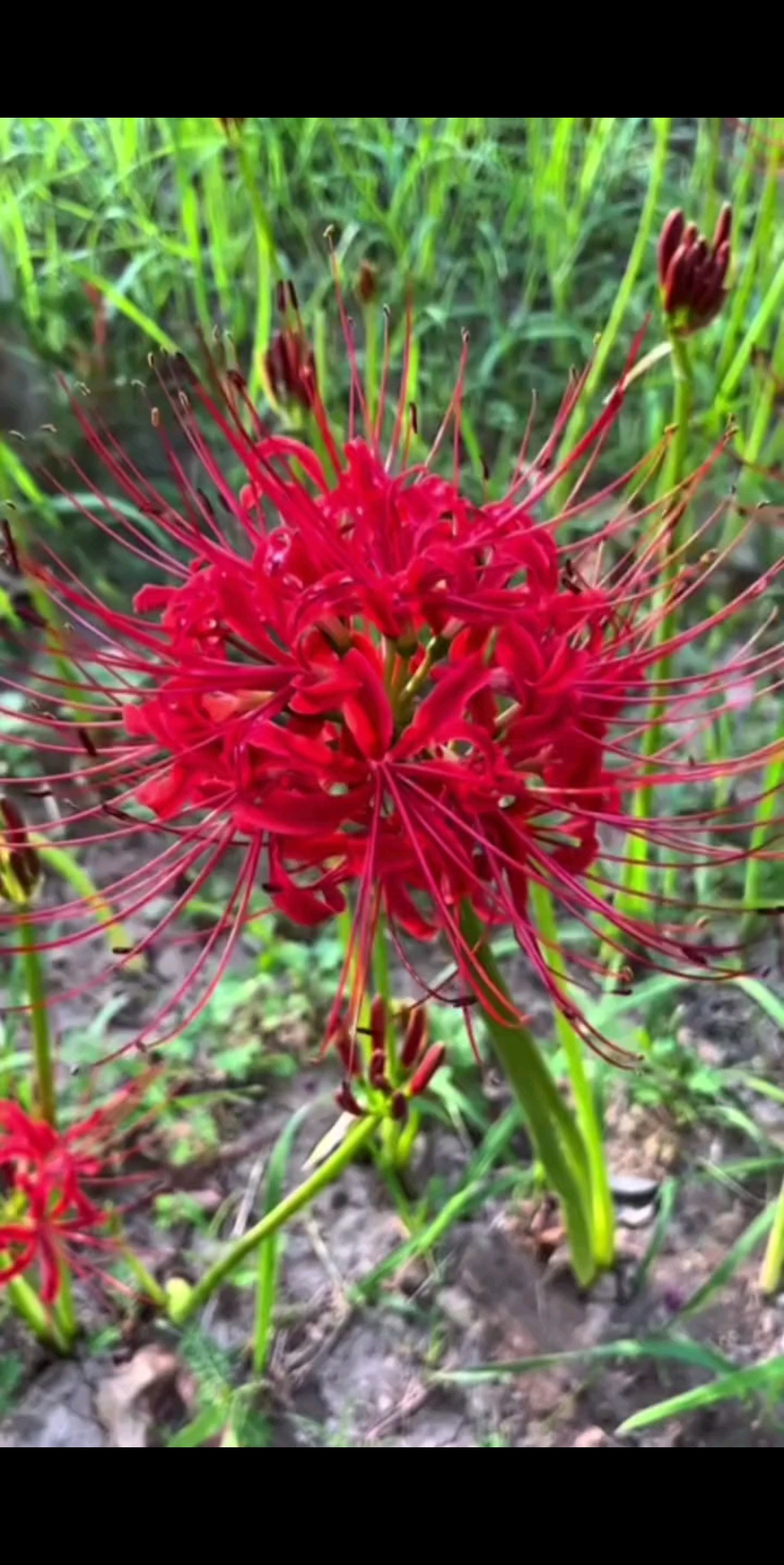 在错的时间遇见对的人