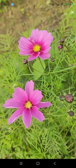 婷婷💕感恩有你陪伴的图片