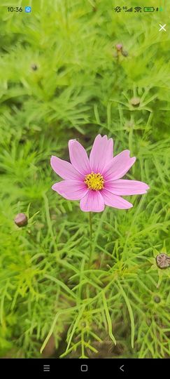 婷婷💕感恩有你陪伴的图片