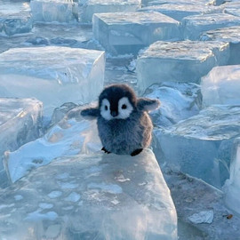 听雨寒更彻开门落叶深的图片
