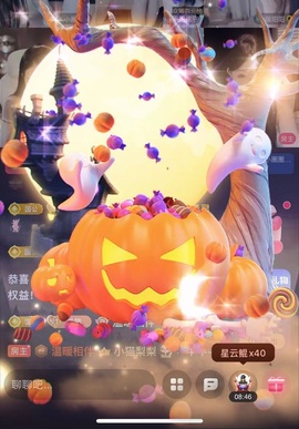 小猫梨梨的图片