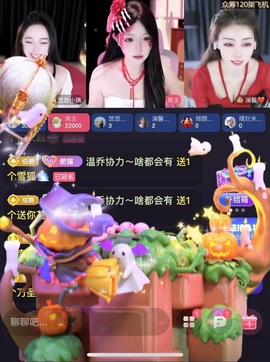 小猫梨梨的图片