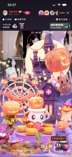 小猫梨梨的图片