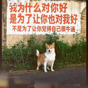 有个事儿你可能不信