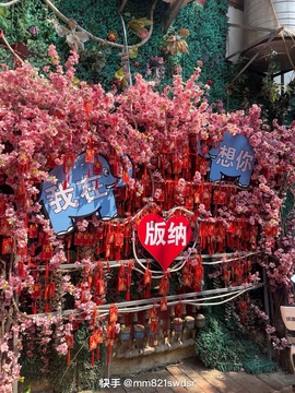 北家玉米🌽的图片