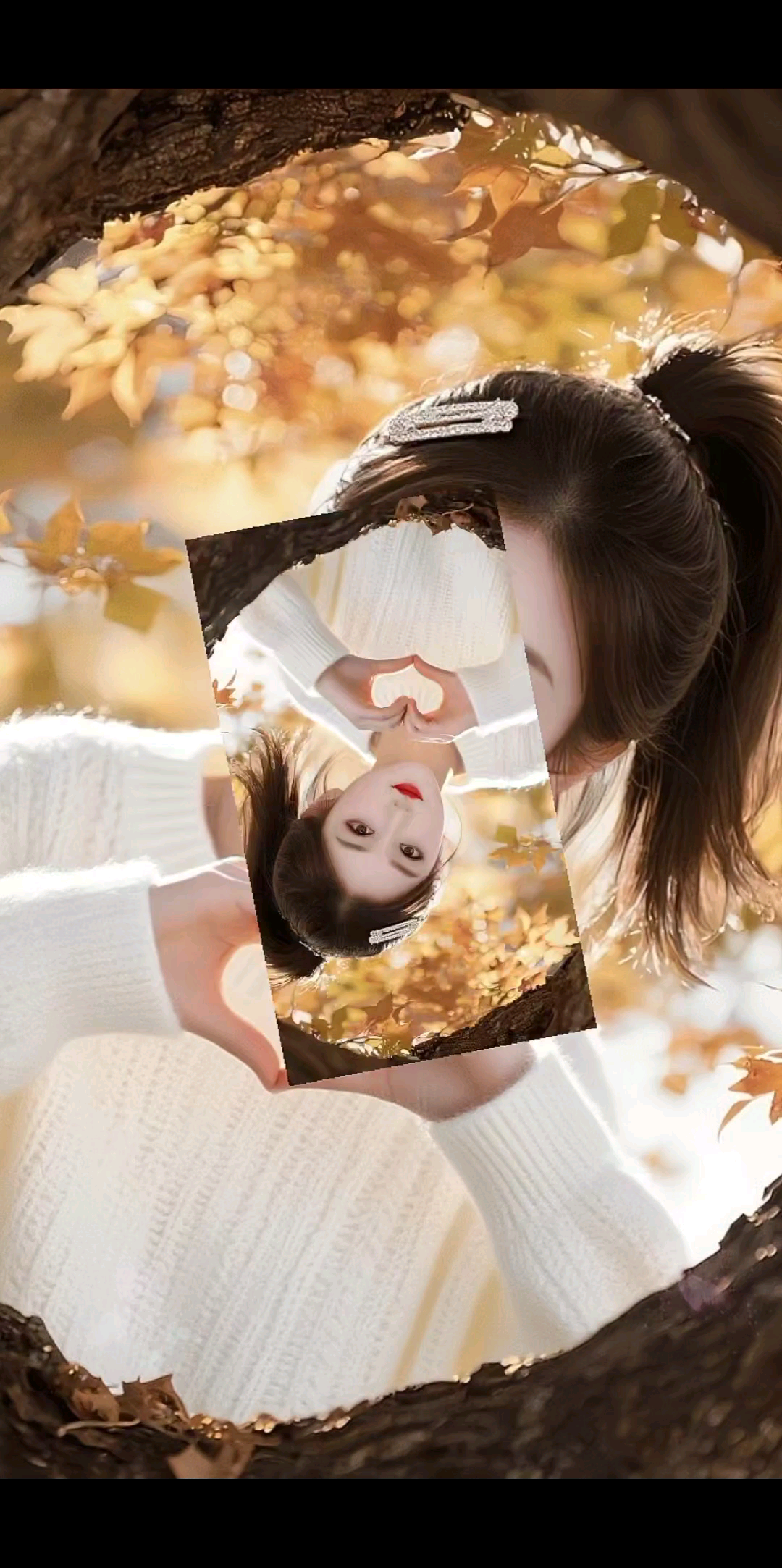 这一站，十一月，晚秋