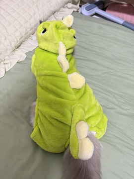 新人姜一一的图片