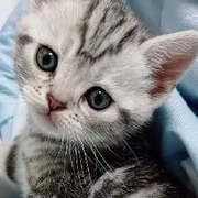 🇨🇳巛💘飝揚