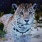 世间万物皆可盘