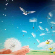 ✨️…🍷…💫的头像