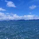 简单的生活，平凡的人的头像