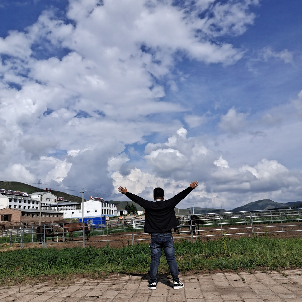 一身正气的大灰狼海报