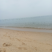 上班摸鱼下班钓鱼的头像