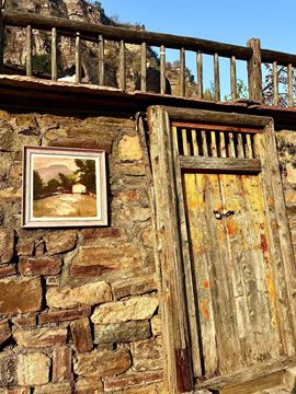 小丸子🍡山里不定时的图片