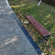 醉到明年酒月久的头像