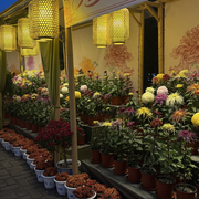 昵称违规，请重新修改