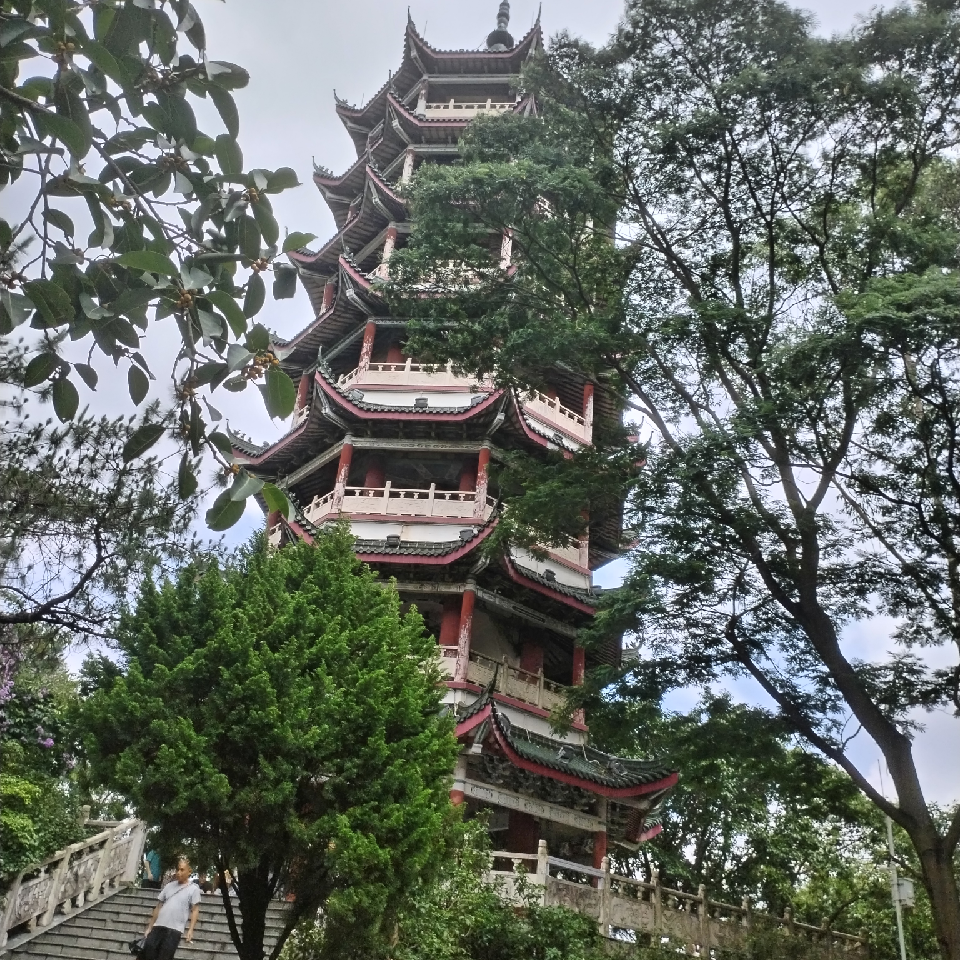 阳光之巅♡海报