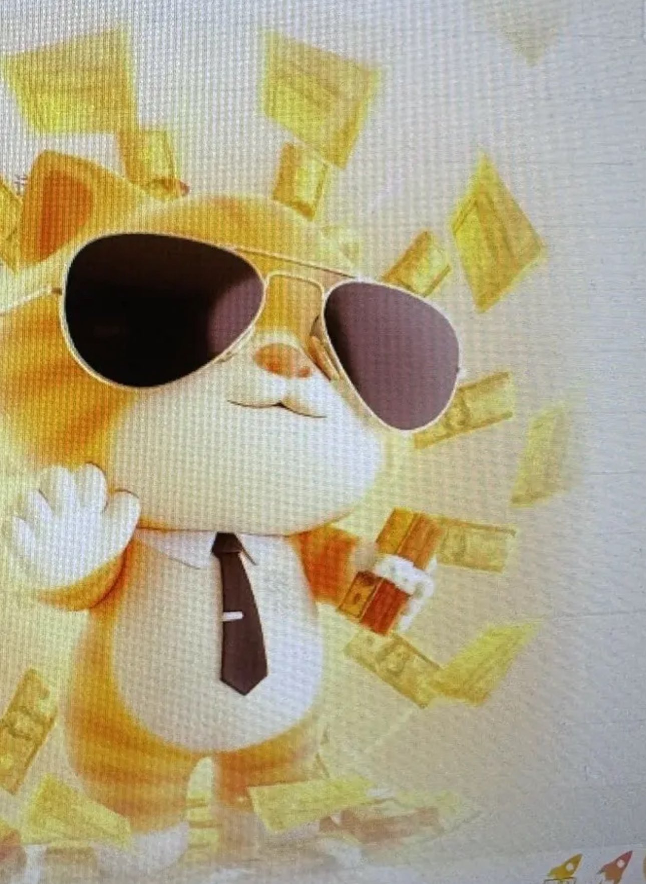 考拉好想升冠主播图片