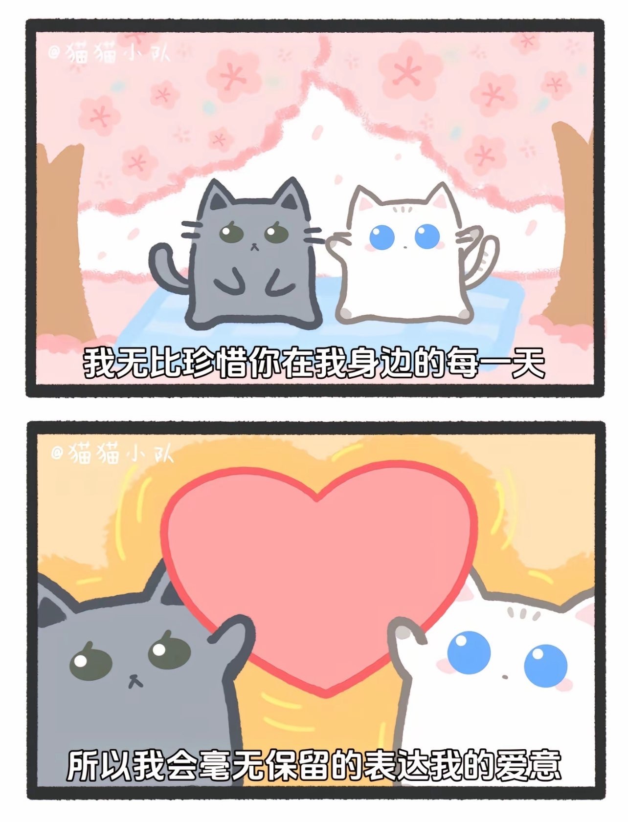 若初💐主播图片