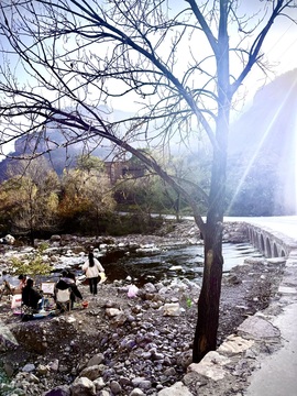 小丸子🍡山里不定时的图片