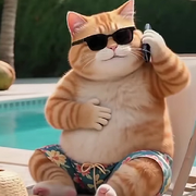 遗忘的过客😎的用户头像