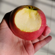 雪有约花不误朝朝暮暮的头像