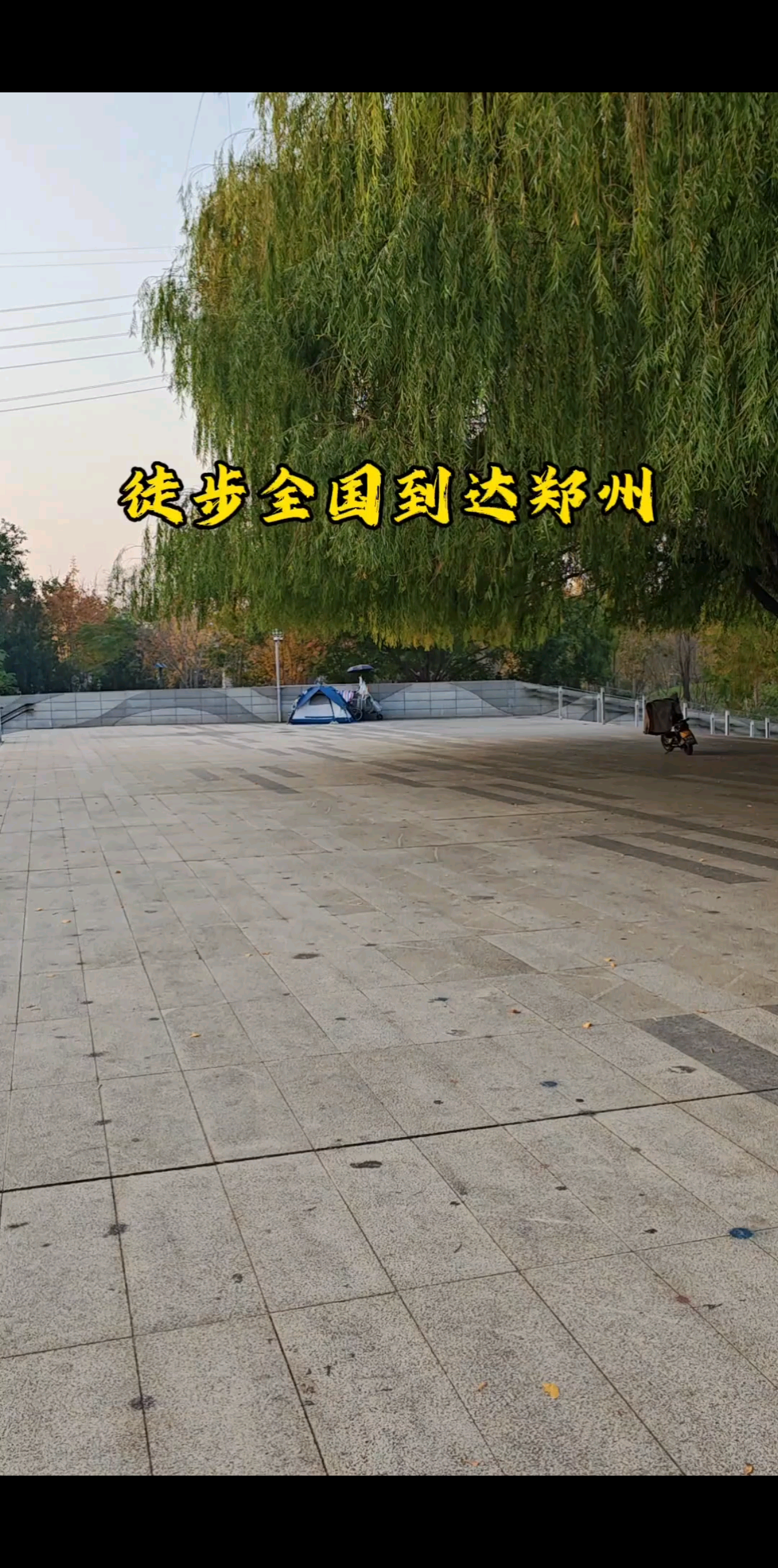 昨晚找到一个漂亮的露